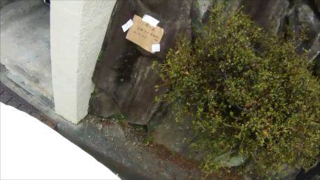 コガタスズメバチ注意書き ローズタウン